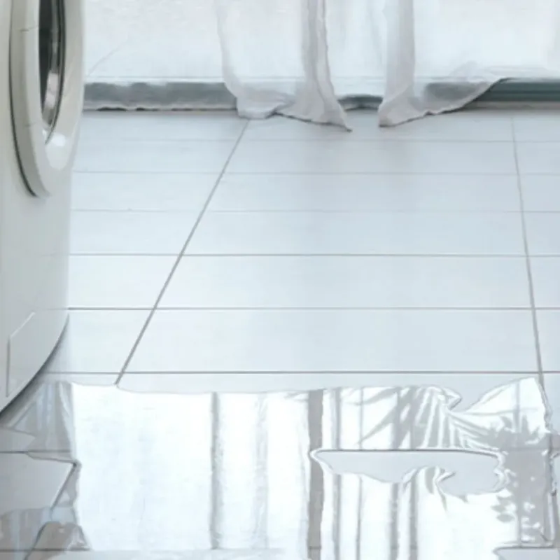 Appliance Leak Cleanup in Leola, PA