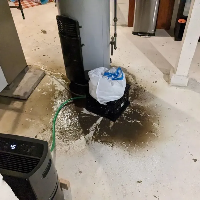 Sewage Backup Cleanup Service in Leola, PA